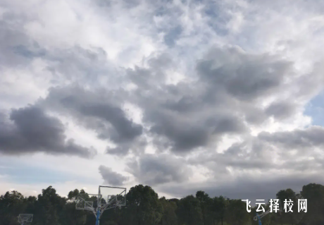 2024單招走的是專科嗎