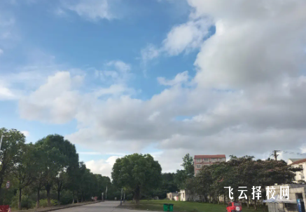 2024對(duì)口單招報(bào)名費(fèi)多少錢