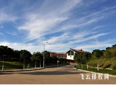 2024對口單招有本科院校嗎