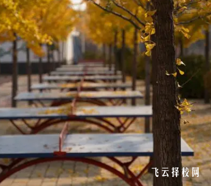 2024今年還有單招嗎