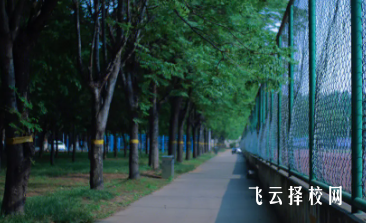 2024可以二次單招嗎