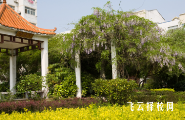 2024年單招改革有哪些變化