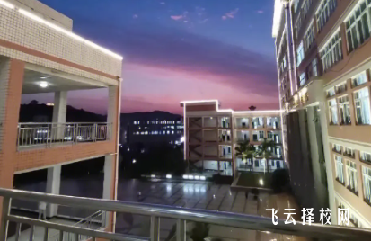 2024年單招改革有哪些變化