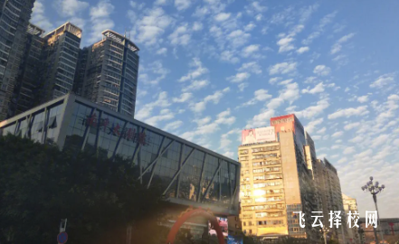 2024年單招人數(shù)更多嗎