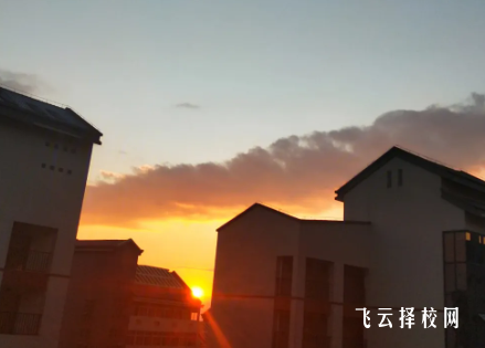 2024年單招人數(shù)更多嗎