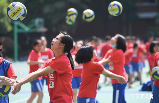 2024體育單招的費用一般是多少