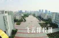 四川通過單招可以報考的學校