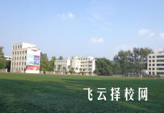 四川通過單招可以報考的學校