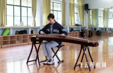 音樂(lè)單招考試考什么