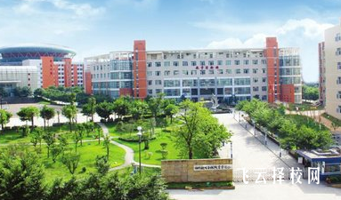 自貢衛校單招錄取線