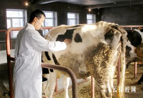 四川畜牧獸醫專業哪個學校比較好