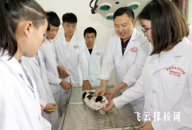 四川畜牧獸醫專業哪個學校比較好