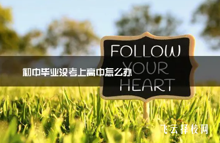 2024初中畢業(yè)后沒考上高中怎么辦