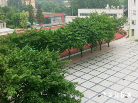 成都市洞子口職業(yè)高級中學2024什么時候招生