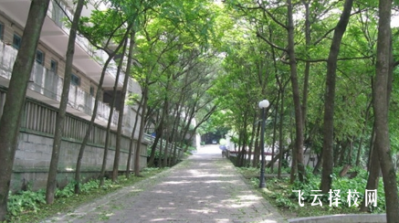 芙蓉礦務局技工學校2024什么時候招生