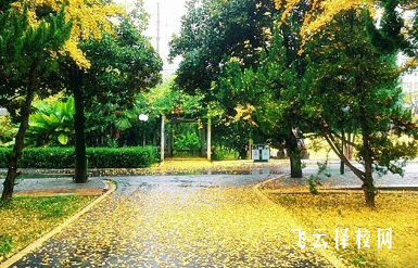 富順職業技術學校2024什么時候招生