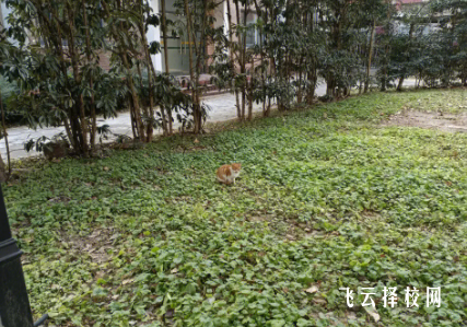 四川慧明中等專業(yè)學(xué)校2024報名條件