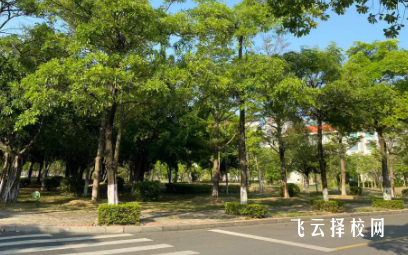 四川省珙縣職業技術學校2024報名條件