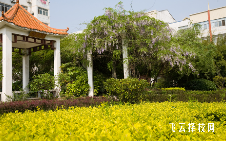 攀枝花市經貿旅游學校2024報名條件