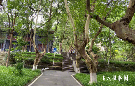 三臺縣文武職業技術學校2024報名條件