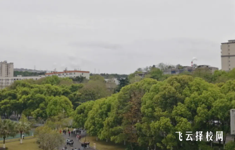 四川大學附設華西衛生學校2024報名條件