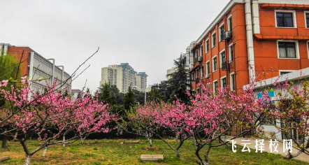 四川廣播電視中等專業學校2024報名條件