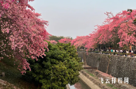 四川科技職業(yè)學(xué)院2024報名條件