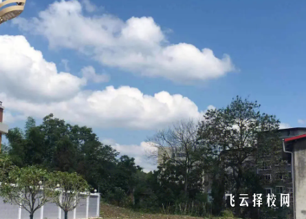 四川礦產機電技師學院2024報名條件