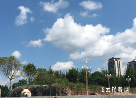 四川礦產機電技師學院2024報名條件