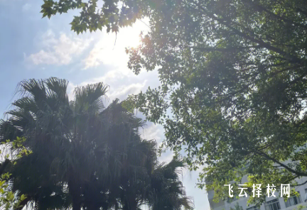 四川理工技師學院2024報名條件