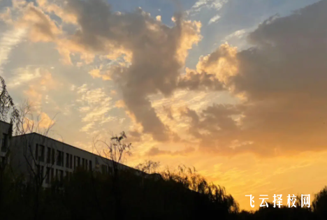 四川省大邑縣職業高級中學2024報名條件