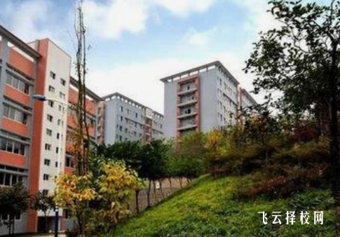 四川省綿竹市職業中專學校2024報名條件