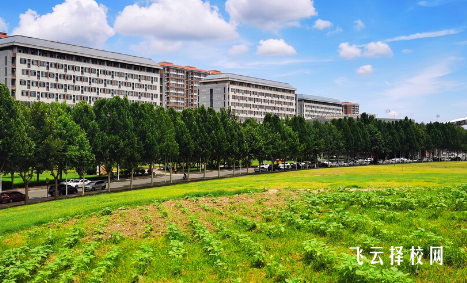 四川水利水電技師學院2024報名條件