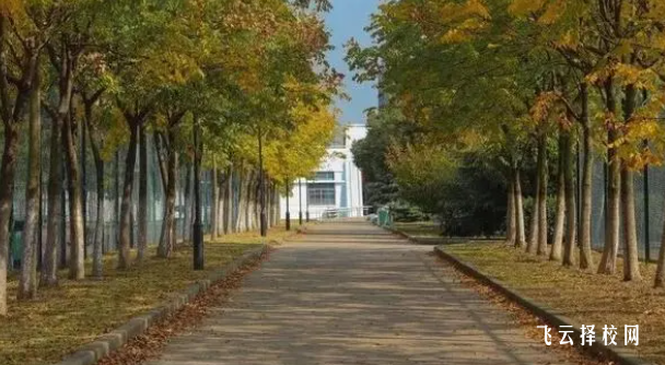 四川鐵道職業學院2024報名條件