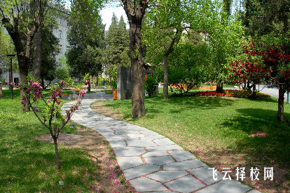 四川托普計算機職業學校2024報名條件