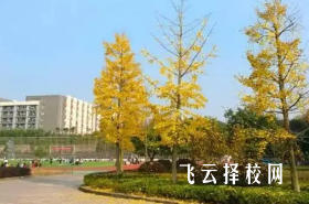 四川育英醫(yī)養(yǎng)科技技工學(xué)校2024報(bào)名條件