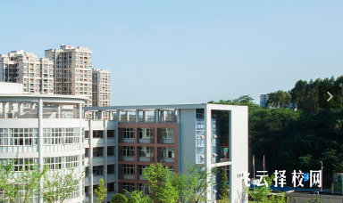 宜賓市職業(yè)技術(shù)學(xué)校2024報(bào)名條件