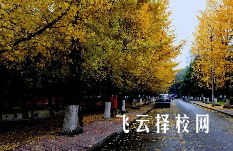 單招培訓(xùn)班一個月多少錢