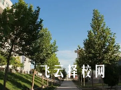 單招培訓(xùn)網(wǎng)課有用嗎