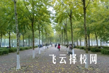 單招培訓主要培訓什么