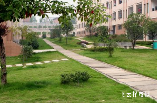 高職單招a類b類什么意思