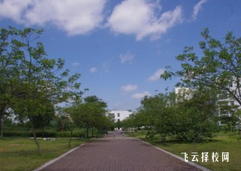 高職單招比高考有什么優(yōu)勢