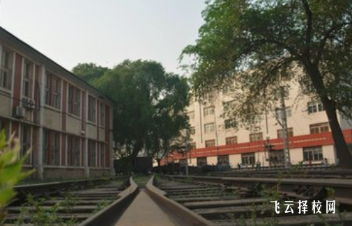 高職單招電子商務(wù)專業(yè)考什么