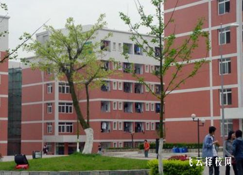 高職高考和單招哪個更難