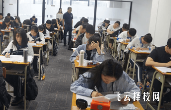 哪個(gè)藝考文化課輔導(dǎo)機(jī)構(gòu)好