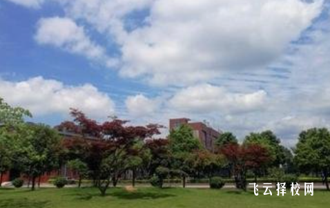 技工學校好還是中專好