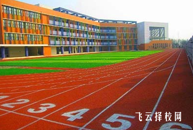 成都市體育運動學(xué)校2024熱選專業(yè)