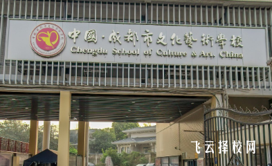 成都市文化藝術學校2024熱選專業