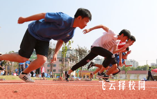 成都體育學院附屬體育運動學校2024熱選專業