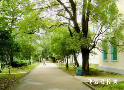 古藺縣職業高級中學2024選什么專業好